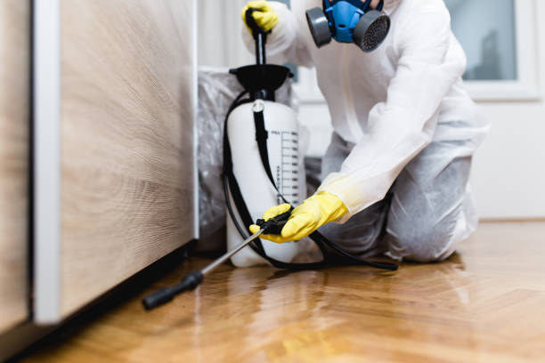 Best Best Pest Control Companies  in Bystrom, CA