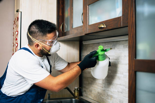 Best Residential Pest Control  in Bystrom, CA
