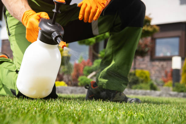 Professional Pest Control in Bystrom, CA