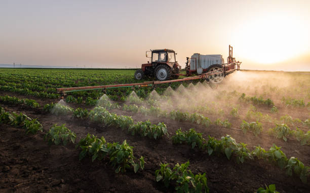 Best Wildlife Control Services  in Bystrom, CA