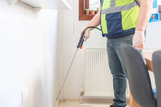 Best Local Pest Control Services  in Bystrom, CA