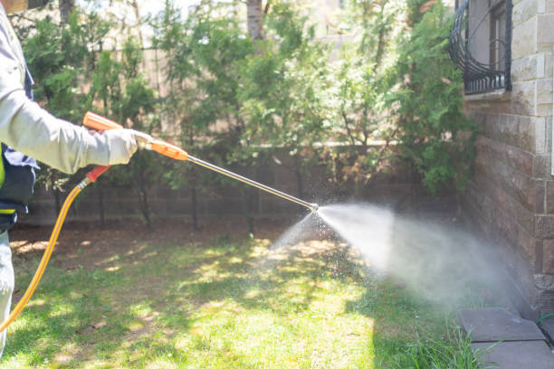 Best Mosquito Control Services  in Bystrom, CA