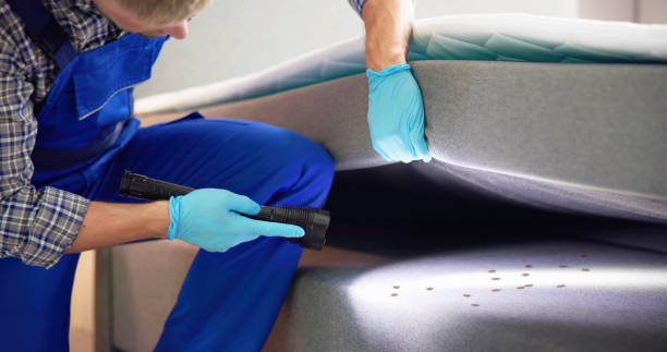 Best Affordable Pest Control Services  in Bystrom, CA