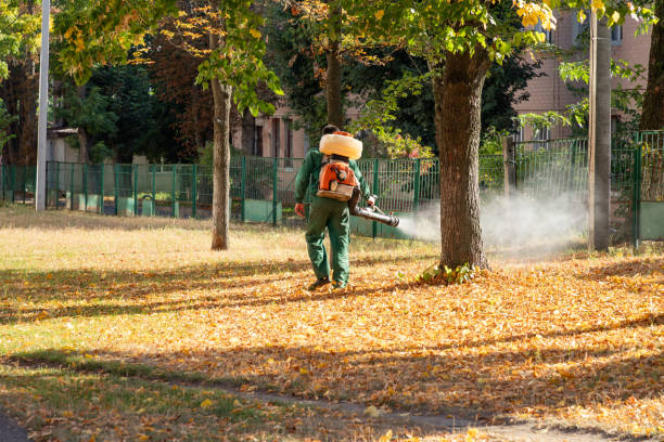 Best Exterminator Services  in Bystrom, CA