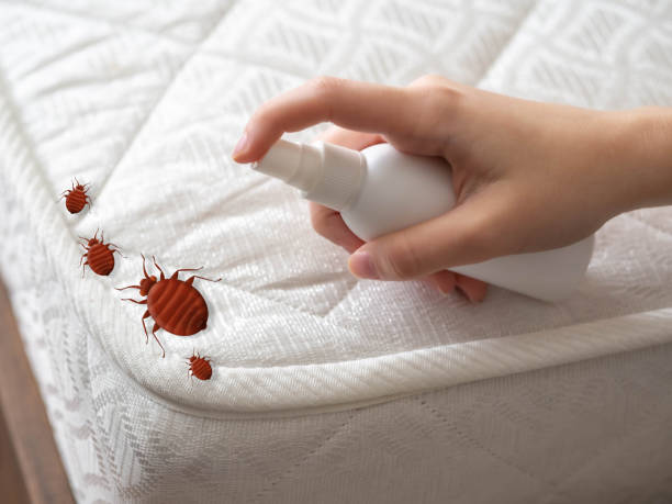 Best Best Pest Control Companies  in Bystrom, CA
