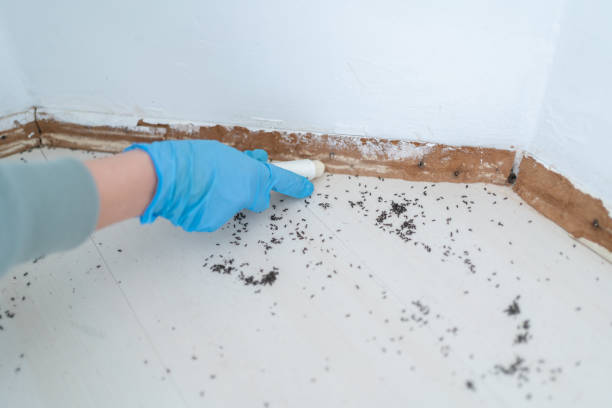 Best Pest Removal Services  in Bystrom, CA
